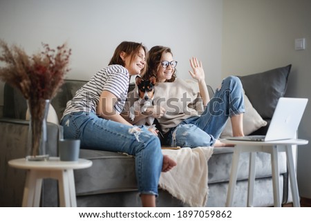 Beautiful happy lesbian couple sitting on sofa at home with pet dog bassengi online chatting using laptop