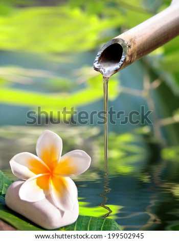 Bamboo fountain and frangipani flower