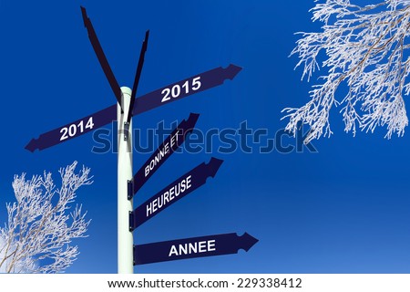 Happy new year 2015 writeen in French on direction panels, snowy trees