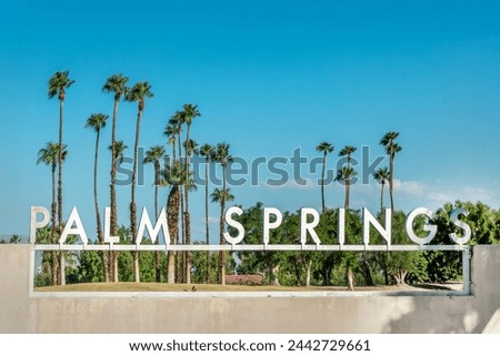 Similar – Image, Stock Photo Palm Springs Palm tree