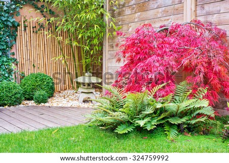 Japanese stone lantern and red maple tree in a zen garden