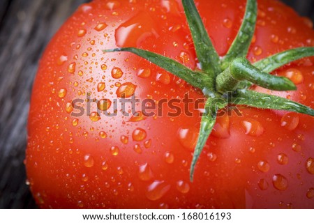 Organic tomato with water droplets in closeup macro