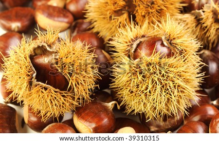 close up image on chestnuts, nature background