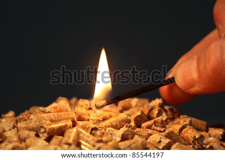 closeup on wood pellet with start fire flame