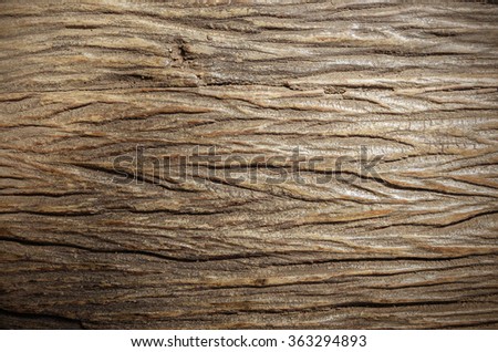 Wood Texture