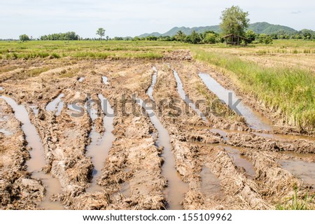 NORTHERN, THAILAND - JUNE 09 : Bad land formations on June 09, 2013 in Thailand.