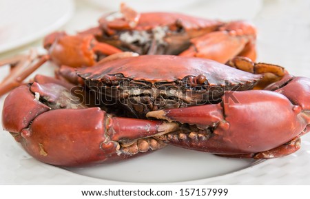 Boiled sea crabs cuisine prepared on plate. Scientific name is Scylla Serrata.