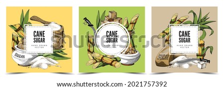 Cane sugar decorative colorful hand drawn backgrounds set with labels for text and brand name, vintage engraving vector illustration. Cane sugar labels.