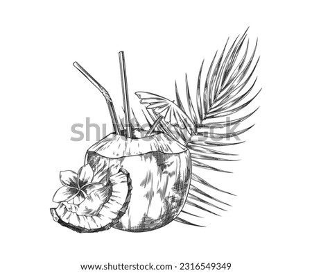 Sketch of tropical coconut cocktails with straw, umbrella and flower. Hand drawn coconuts with palm leaf. Vintage style. Vector illustration in retro style isolated on white background