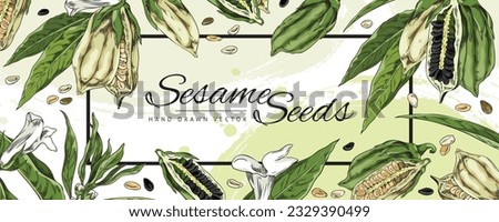 Sesame seeds banner or label template for spices and food packaging design, hand drawn sketch style vector illustration. Banner with sesame oil plant decorative elements.