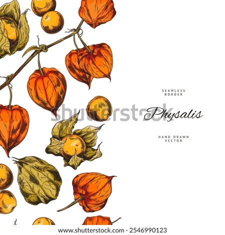 Physalis. Round yellow berries, orange sepals on a branch. Leaves. Seamless vertical border on the left side. Sketch style. Decorative garden plant with edible fetuses. Hand drawn. Vector illustration