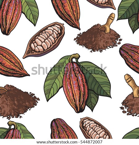 Seamless pattern of cacao fruit, beans and powder on white background, sketch style illustration. Cacao fruit, beans, powder forming seamless pattern for print, textile, wrap, backdrop design