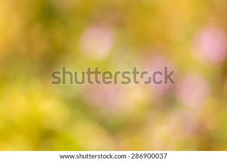 Green gold and yellow bokeh abstract summer spring or autumn background with copy space