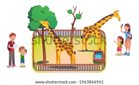 Girl, boy kids and parents taking photos in zoo. Families with children enjoying nature visiting zoo watching giraffes animals eating tree leaves in enclosure. Parenting аlat vector illustration