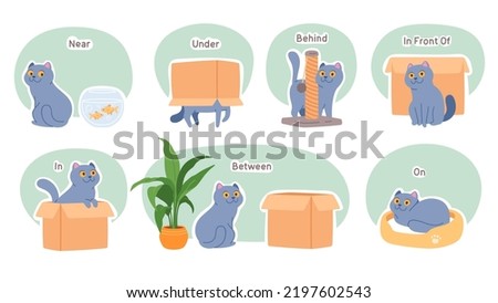Learning positions in space in relation to objects, spatial awareness words set. Cute pet cat near, under, behind, between, on, in front of box. Position perception vocabulary education illustration
