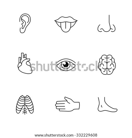 Medical Icons Thin Line Art Set. Human Organs, Senses, And Body Parts ...