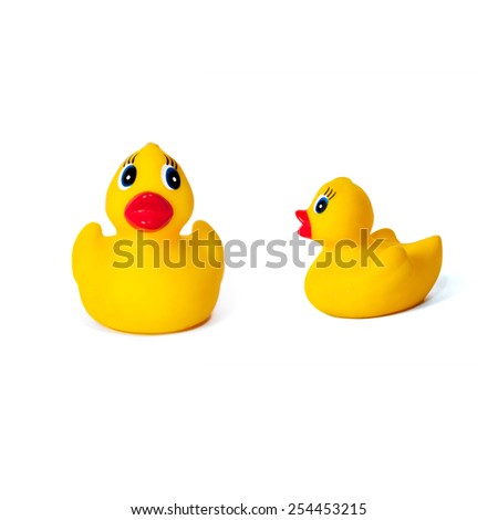 two rubber ducks  isolated on white background