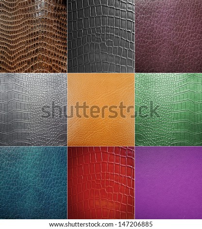 Collage of skin animal texture