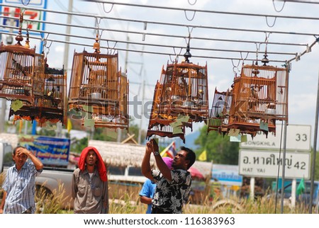 HATYAI,THAILAND - AUGUST 12, 2012: Row of bird cages with competitions during famous local birds sound contest on August 12, 2012 in Hatyai, Thailand