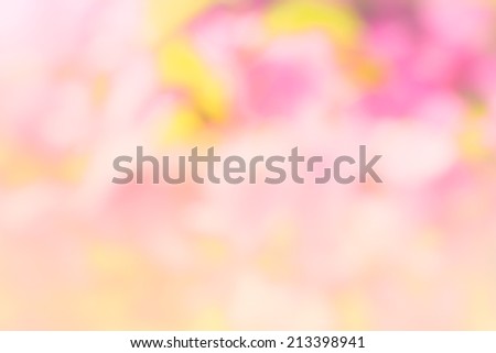 purple, green and pink pastel colorful background bokeh blurred lights background