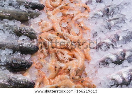 Shrimps and fish on ice. Fish market. shrimps background. Frozen fish over crushed ice.