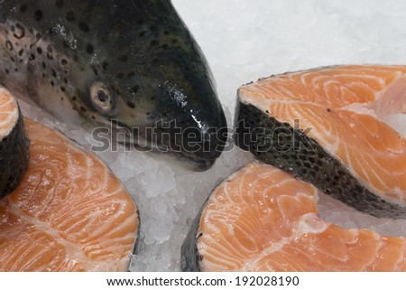 Salmon head, salmon chops. frozen fish over ice.  fish market. fish shop