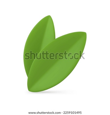 Two green leaves Easter decorative element summer plant organic nature foliage 3d icon realistic vector illustration. Natural spring garden park growing botanical leaf ecology flora figure design