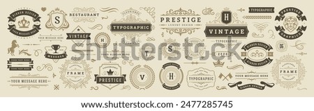 Vintage typographic decorative ornament design elements set vector illustration. Labels and badges, retro ribbons, luxury fancy logo symbols, elegant calligraphic swirls, flourishes ornate vignettes.