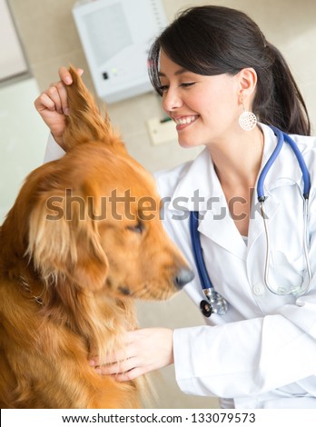 Veterinarian examining the ear of a cute dog