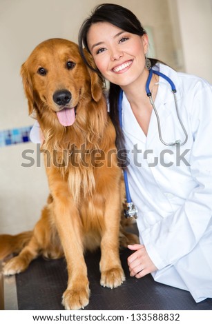 Cute dog at the vet with a happy doctor