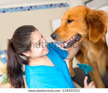 Cute dog at the vet being checked out