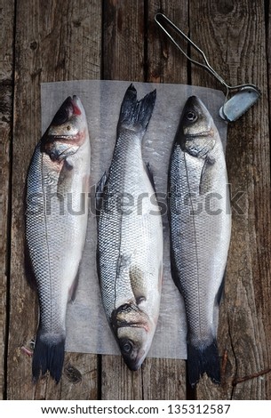 fresh, raw sea bass on the catching board