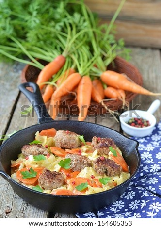 braised vegetables with meat balls  and fresh carrot on rustic background