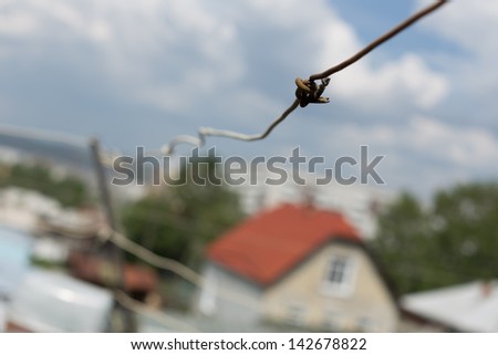 Electric wire directed to the house against the sky