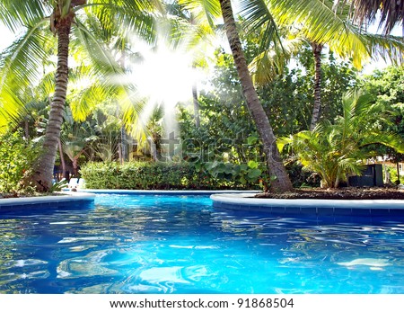 Vacations in the tropics by the pool. The sun\'s rays shine through the leaves of palm trees