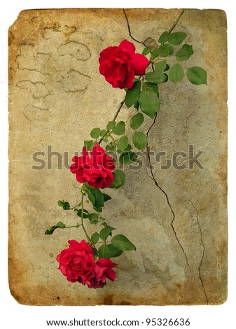 Roses. Old postcard, design in grunge and retro style