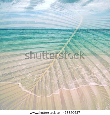 Palm and ocean - Abstract Background image for the photo album, photo book