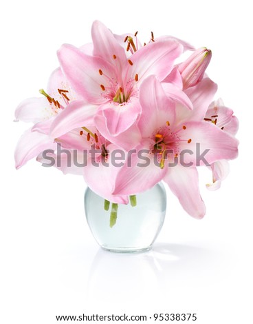 Fresh bouquet of pink lilies on white background