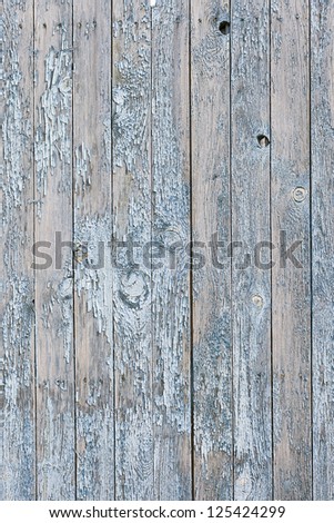 the blue old painted wooden fence, naturally weathered
