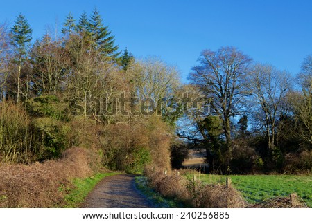 Country Path. A country walk on a crisp winters day. Blue sky and bare trees make up this cold winter scene.