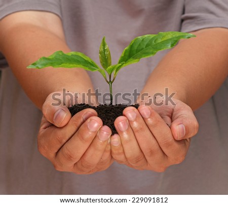 Hand with plant
