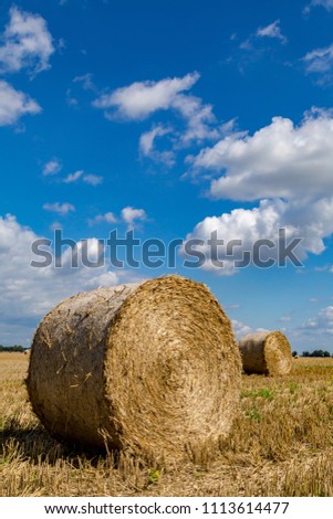 Similar – Image, Stock Photo Late summer rolls Field