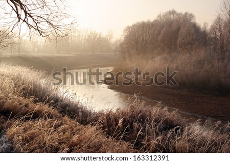 beginning of winter landscape on the river near the shore groves and trees covered with frost at sunset