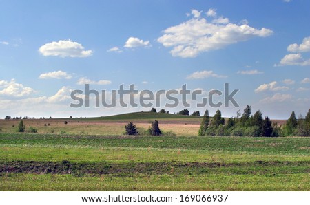 summer landscape idealistic picture of white clouds on a blue sky and rare trees on the green meadow