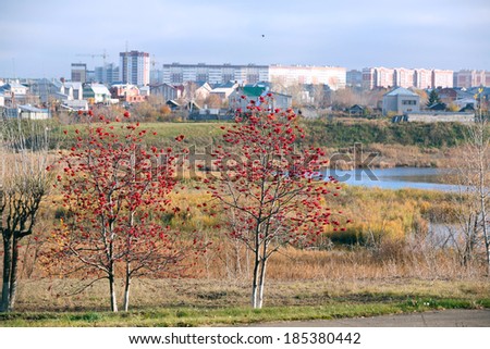 beautiful picturesque autumn cityscape, roads, homes and rowan alley along roads