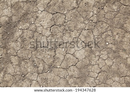 isolated close-up of dry cracked soil in sunlight