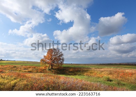 picturesque autumn landscape beautiful white clouds on blue sky over a field and trees with colorful leaves on a sunny day