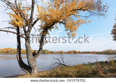 autumn landscape leaf fall of colorful trees near the river