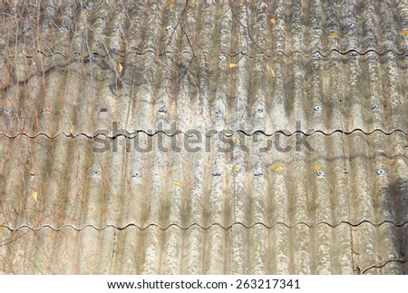 Marco isolated texture old gray slate roof