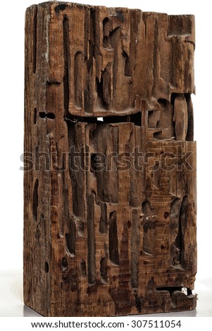 close-up block cutting wood termites on white studio background